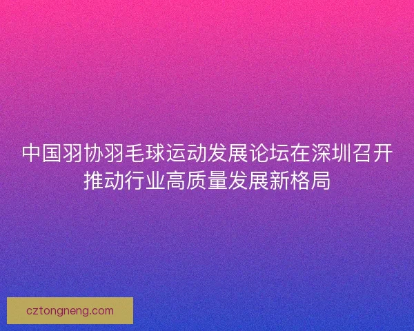 中国羽协羽毛球运动发展论坛在深圳召开推动行业高质量发展新格局