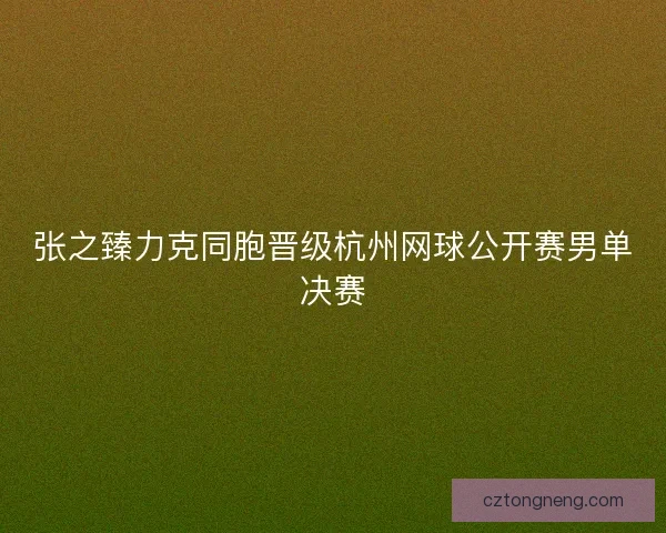 张之臻力克同胞晋级杭州网球公开赛男单决赛